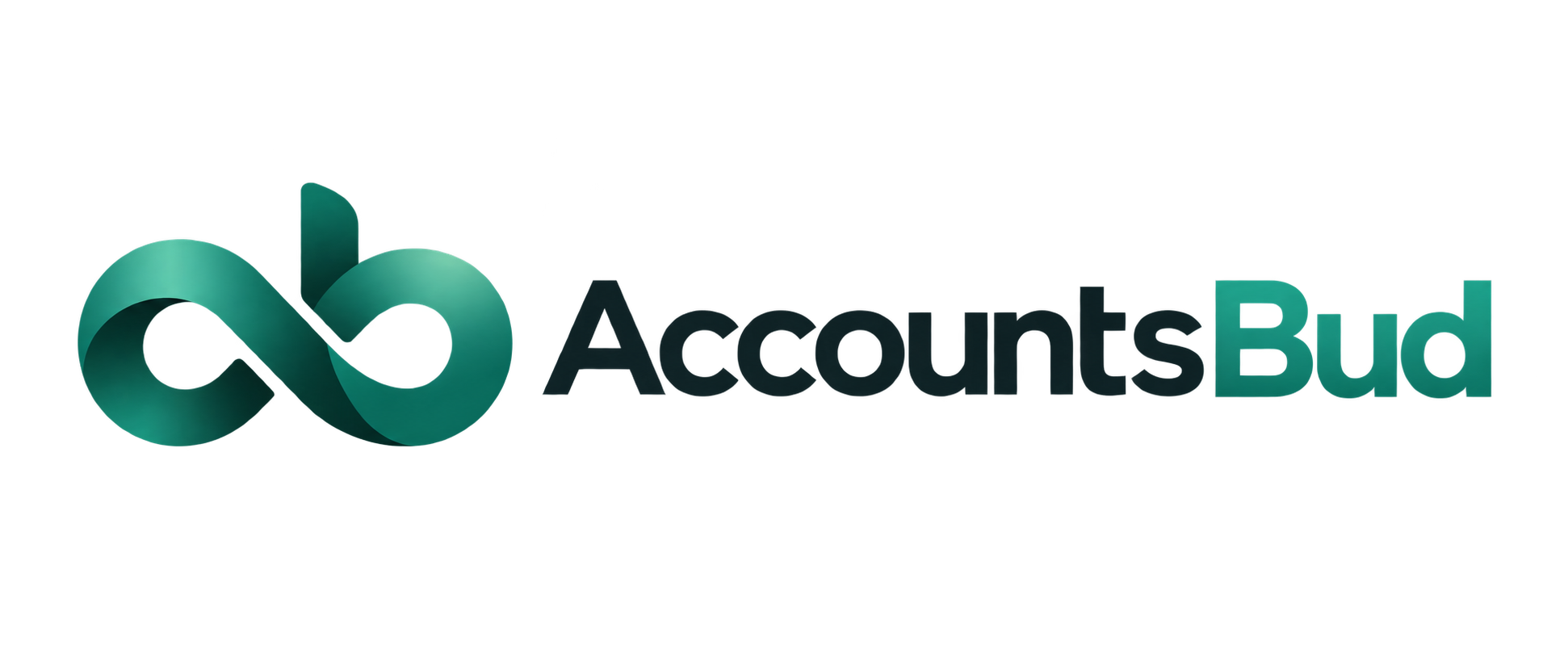 AccountsBud